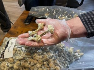 How to pay for Your Order Magic mushrooms, delivery and returns